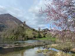 Beautiful Property with Mountain Views and Guest House 35 minutes south of Pau